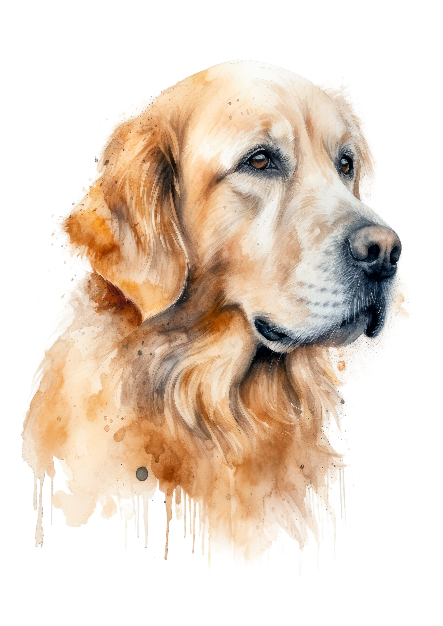 Print - Golden Retriever