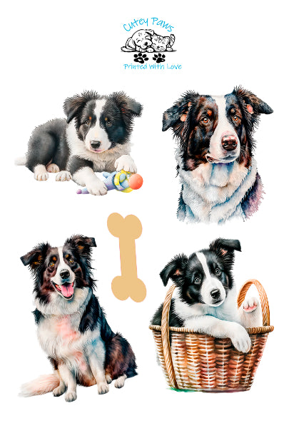 Collie Dog Glossy Coloured Stickers