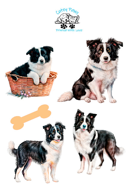 Collie dog Glossy Stickers