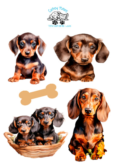 Dachshund Printed Glossy Stickers